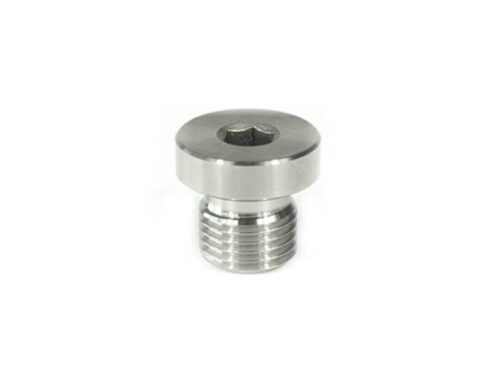 BSP Male Hollow Plug With Captive Seal
